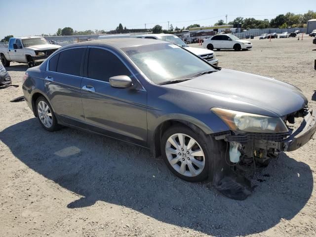 2010 Honda Accord EXL