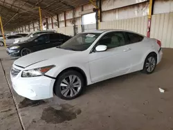 Salvage cars for sale at Phoenix, AZ auction: 2012 Honda Accord EXL