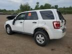 2012 Ford Escape XLS