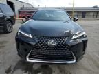 2024 Lexus UX 250H Premium