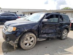 Salvage cars for sale at Louisville, KY auction: 2010 Ford Escape XLT