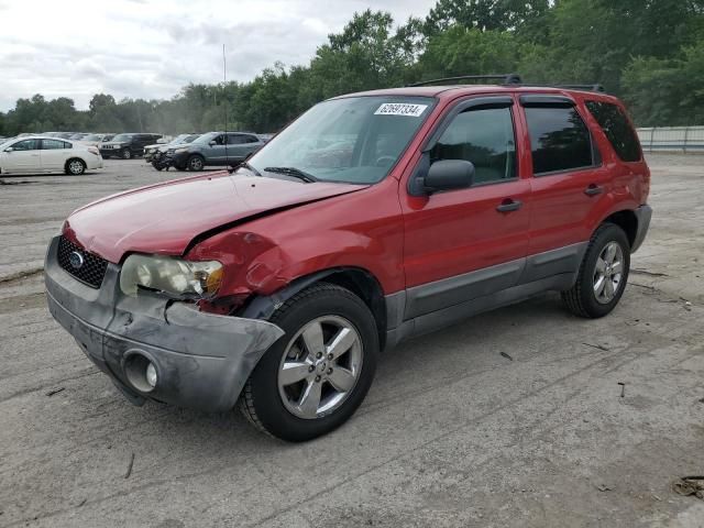 2007 Ford Escape XLT