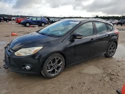 Ford salvage cars for sale: 2013 Ford Focus SE