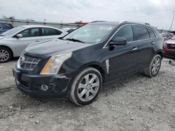 Cadillac salvage cars for sale: 2010 Cadillac SRX Premium Collection