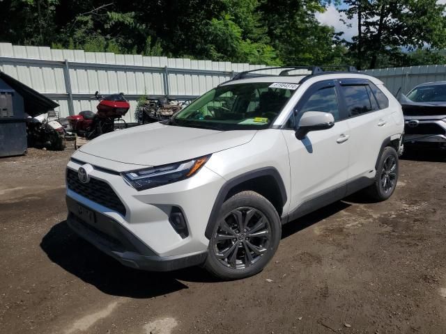 2023 Toyota Rav4 XLE Premium