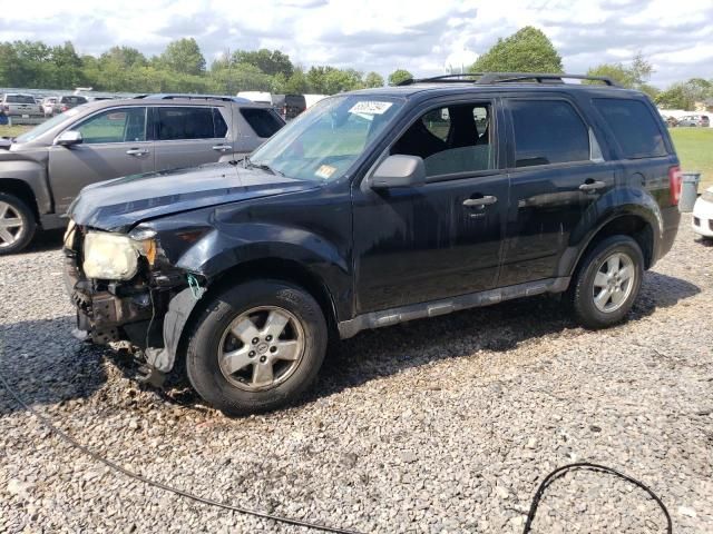 2010 Ford Escape XLT