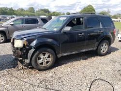 Salvage cars for sale at Hillsborough, NJ auction: 2010 Ford Escape XLT