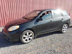 Salvage cars for sale at London, ON auction: 2006 Toyota Corolla Matrix XR