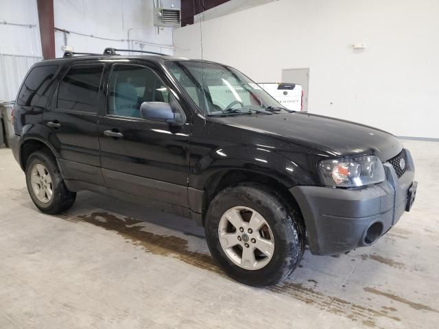 2005 Ford Escape XLT