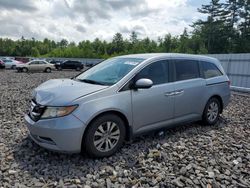 Honda salvage cars for sale: 2016 Honda Odyssey SE