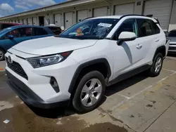 Salvage cars for sale at Louisville, KY auction: 2021 Toyota Rav4 XLE