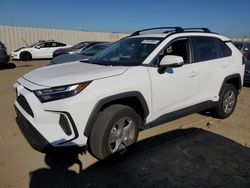 Salvage cars for sale at auction: 2024 Toyota Rav4 XLE