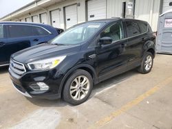 Salvage cars for sale at Louisville, KY auction: 2017 Ford Escape SE