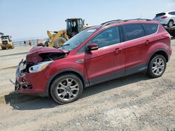 Ford salvage cars for sale: 2013 Ford Escape SEL