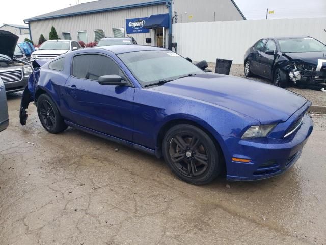 2013 Ford Mustang