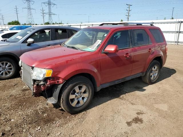 2011 Ford Escape Limited