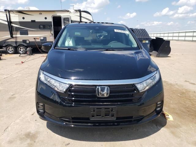 2024 Honda Odyssey EXL