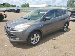 Salvage cars for sale at Columbia Station, OH auction: 2014 Ford Escape SE