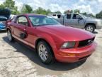 2006 Ford Mustang