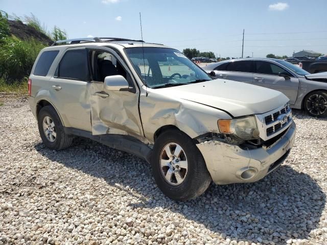 2011 Ford Escape Limited