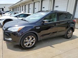 Ford salvage cars for sale: 2013 Ford Escape SEL