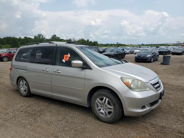 2005 Honda Odyssey EXL