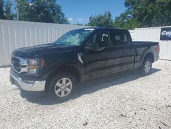 Rental Vehicles for sale at auction: 2023 Ford F150 Supercrew