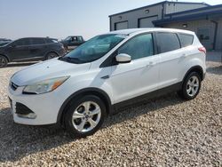 Salvage cars for sale at Casper, WY auction: 2013 Ford Escape SE