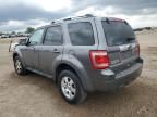 2010 Ford Escape Limited