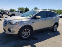 Salvage cars for sale at Louisville, KY auction: 2017 Ford Escape SE