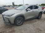 2024 Lexus NX 250 Base