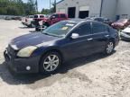 2005 Nissan Maxima SE