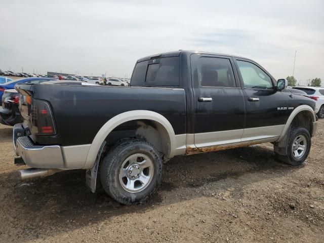 2009 Dodge RAM 1500