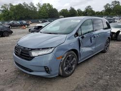 Honda salvage cars for sale: 2023 Honda Odyssey Elite