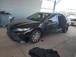 Salvage cars for sale at Phoenix, AZ auction: 2020 Toyota Camry LE