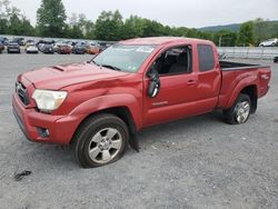 Toyota Vehiculos salvage en venta: 2012 Toyota Tacoma