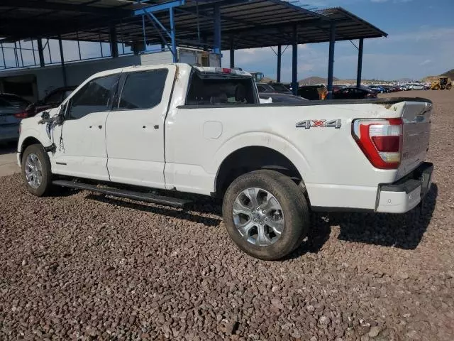 2023 Ford F150 Supercrew