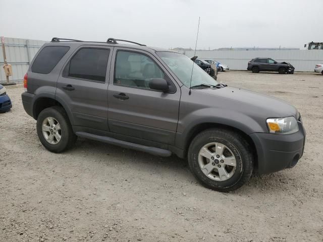 2006 Ford Escape XLT