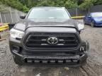 2023 Toyota Tacoma Access Cab