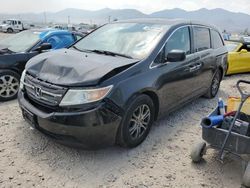 Salvage cars for sale at Magna, UT auction: 2013 Honda Odyssey EXL