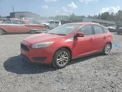 Ford salvage cars for sale: 2015 Ford Focus SE