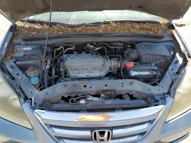 2006 Honda Odyssey EXL