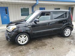 Salvage cars for sale at Fort Pierce, FL auction: 2013 KIA Soul