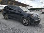 2019 Honda Pilot EXL