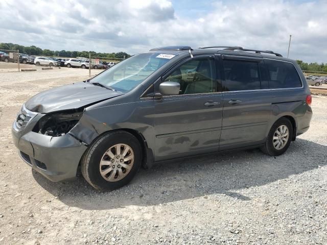 2008 Honda Odyssey EXL