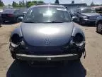 2006 Volkswagen New Beetle 2.5L Option Package 1