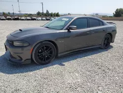 Salvage cars for sale at Mentone, CA auction: 2020 Dodge Charger R/T