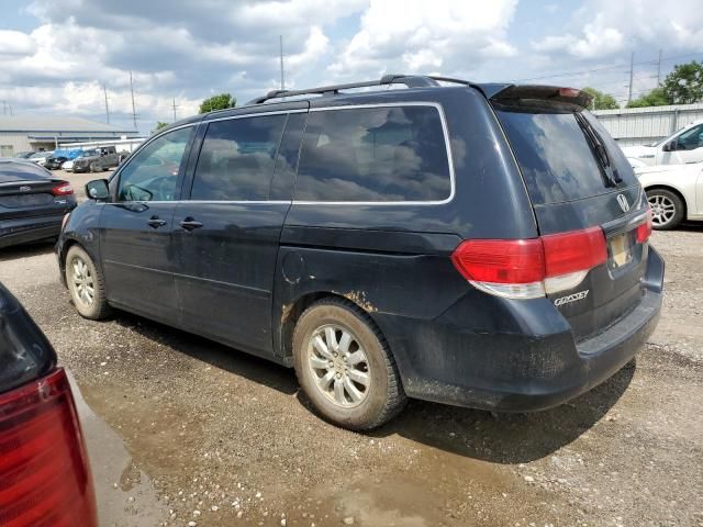 2010 Honda Odyssey EXL