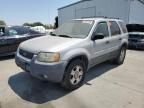 2002 Ford Escape XLT