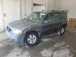 Salvage cars for sale at Madisonville, TN auction: 2007 Ford Escape XLS